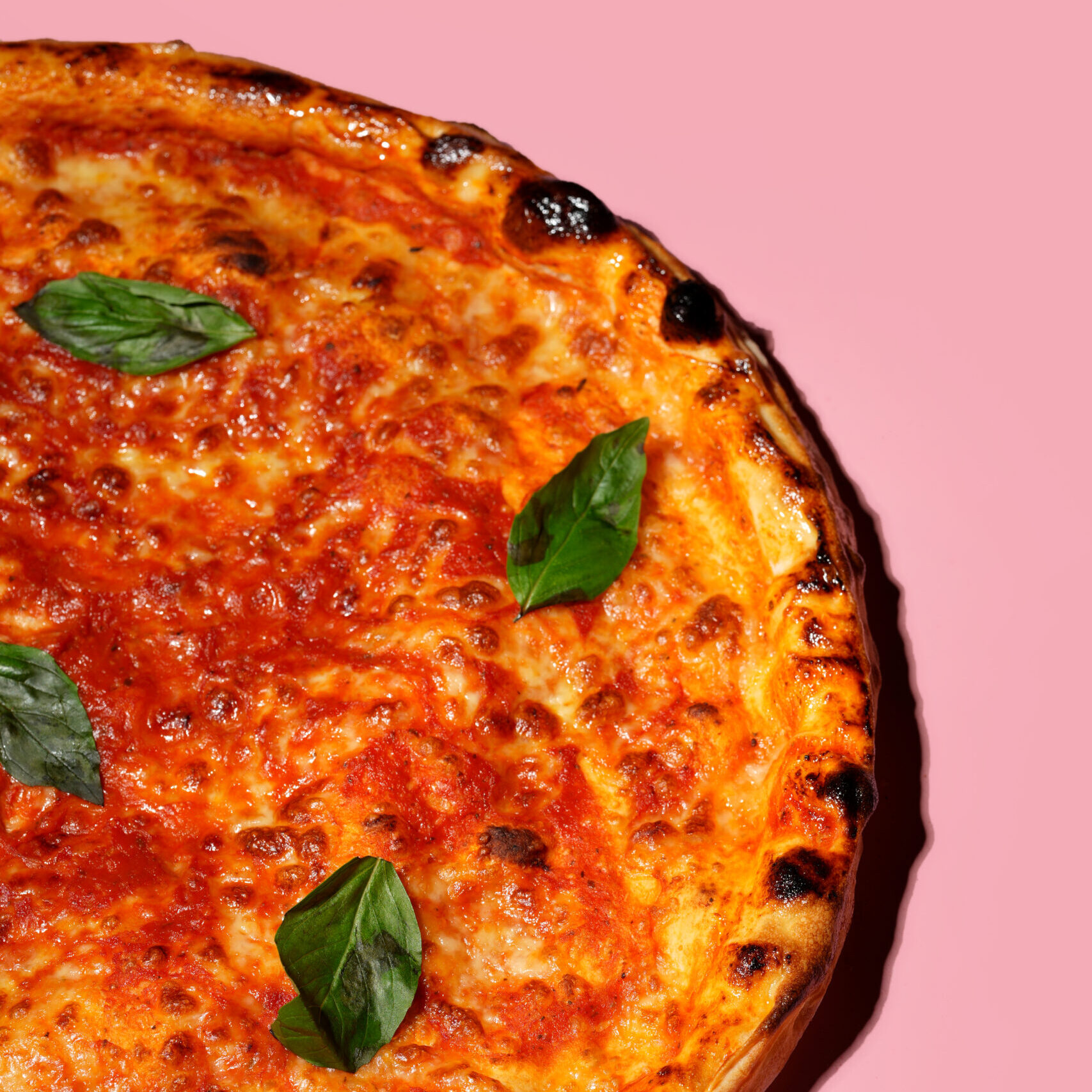 20 inch Margherita pizza on a pink background